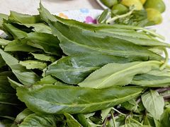 -Pho Hoa Pasteur