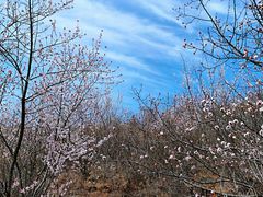 -定都阁