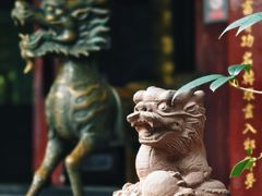 -青羊宫