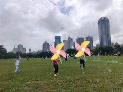 -万绿园