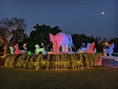 -清迈夜间动物园