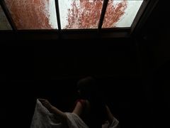 -东莞植物园