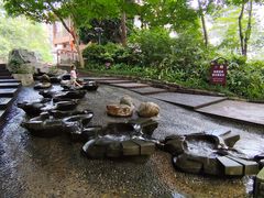 -成都市活水公园