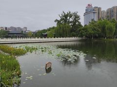 -北湖公园