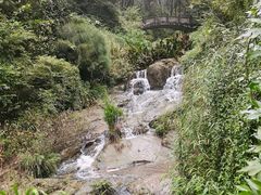 -铁山坪森林公园