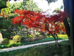 -浙江西子宾馆·瑶园咖啡厅