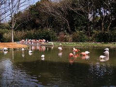 -上海野生动物园