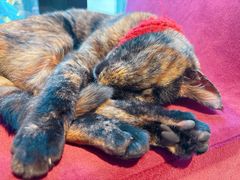 -EATALIA意塔利意式餐厅(鼓楼店)