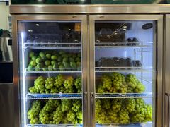 -雾与山茶(大禹城店)