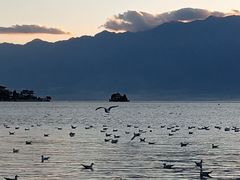 -小普陀