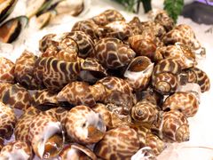 -银龙酒店-巴黎时光西餐厅