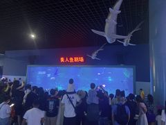 -福州罗源湾海洋世界旅游区