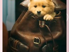 -曹杨影城(曹杨店)