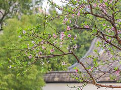-乌山风景区