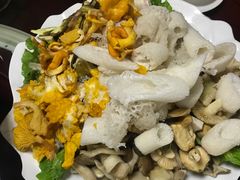 -山大王菌莊