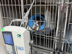 -联合动物医院(光谷诊疗中心)