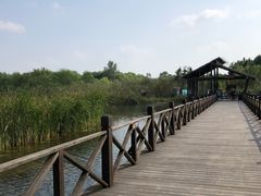 -溱湖国家湿地公园