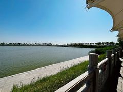 -南大港湿地风景区