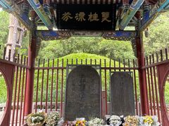 -武侯墓风景区