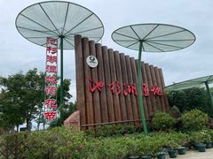 -池杉湖湿地公园