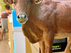-伊犇牛清真牛肉火锅(宽窄巷子店)