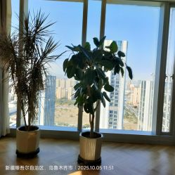 -牛油果儿童摄影