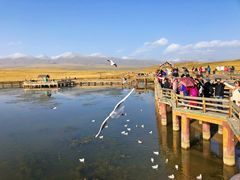 -旺原领头羊餐厅
