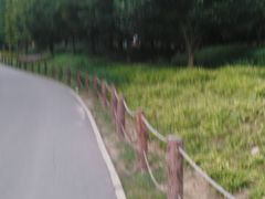 -贵阳市花溪国家城市湿地公园