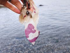 -黑石礁公园