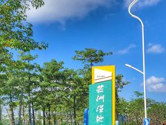 -芒洲湿地公园