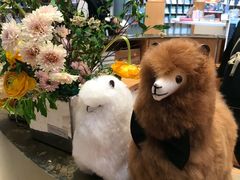 -思南书局·诗歌店