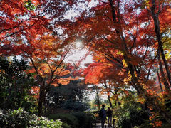 -常寂光寺
