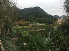 -贵阳市花溪国家城市湿地公园