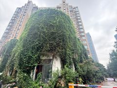 -花迹(富春江东街店)
