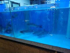 -淘米捞·米汤脆鲩鱼火锅(福田皇岗店)
