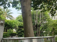 -广州神农草堂中医药博物馆