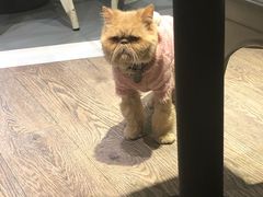 -小时光咖啡馆(开森度假森林店)