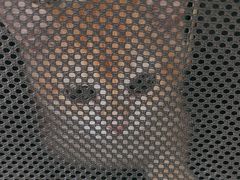 -纳吉亚猫专科动物医院·北北分院