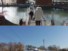 -东方巨龟苑景区