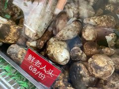 -太婆天府山珍酒楼(亚运村店)