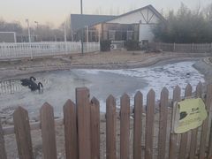 -中家鑫园温泉酒店鑫悦汤泉