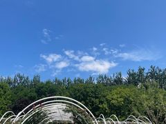 -大望京公园