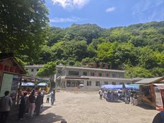 -牛背梁国家森林公园