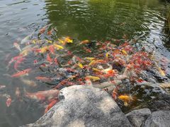 -宜兴张公洞