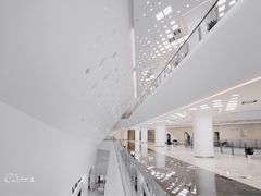 -国际青年会议酒店-苏莱斯餐厅