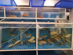 大堂-台山侨雅海鲜粥底火锅(台山侨雅花苑店)