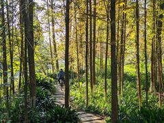 -桤木河湿地公园