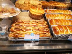 -蒲公英(五里店)