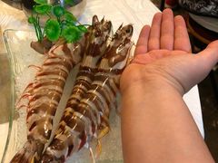 -鲜入围煮花胶鸡海鲜火锅