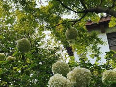 -惠山古镇·寄畅园